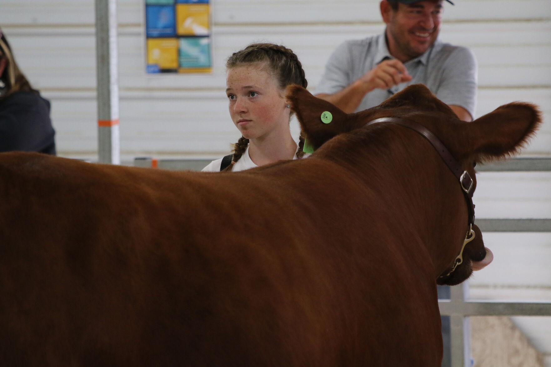PHOTOS: Market Beef Show 2020